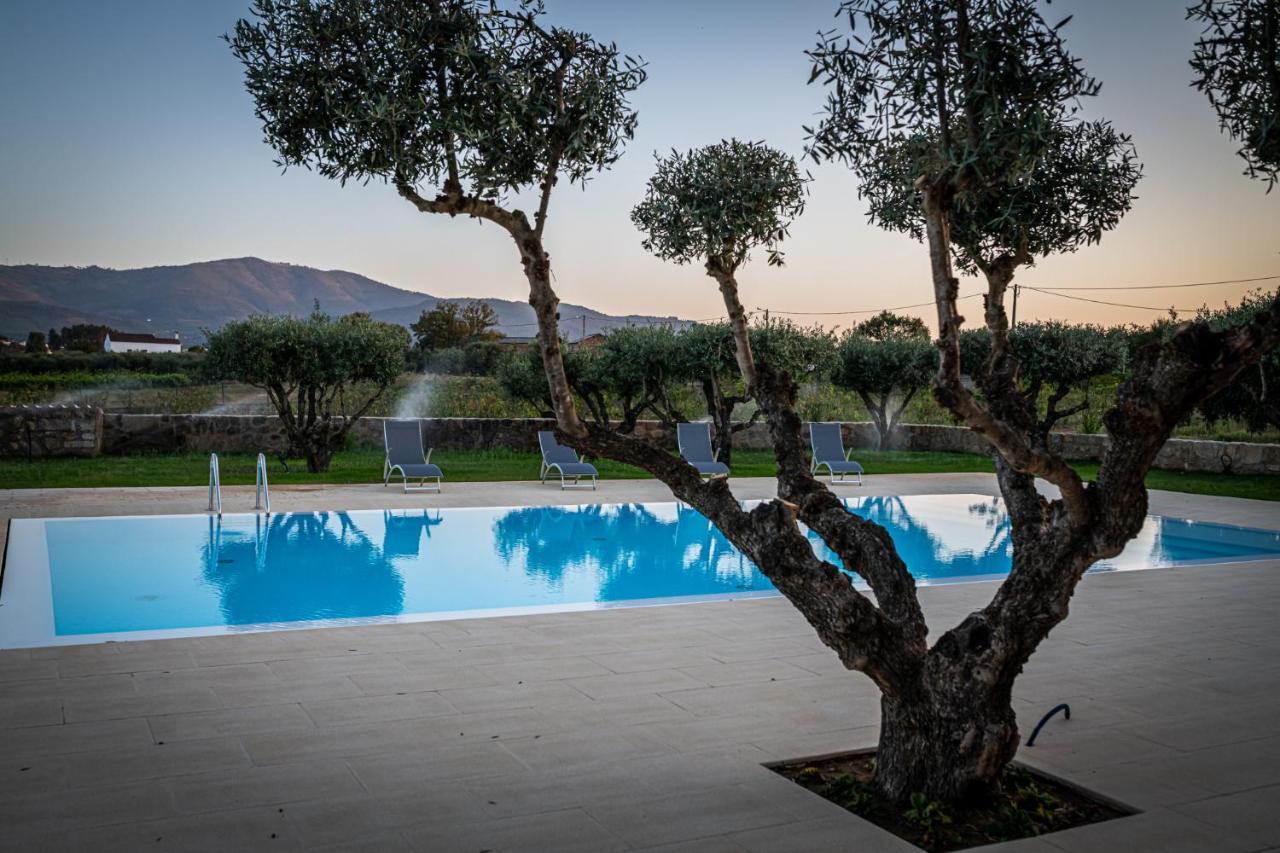 Quinta Das Oliveiras Turismo Rural Fundão Eksteriør bilde