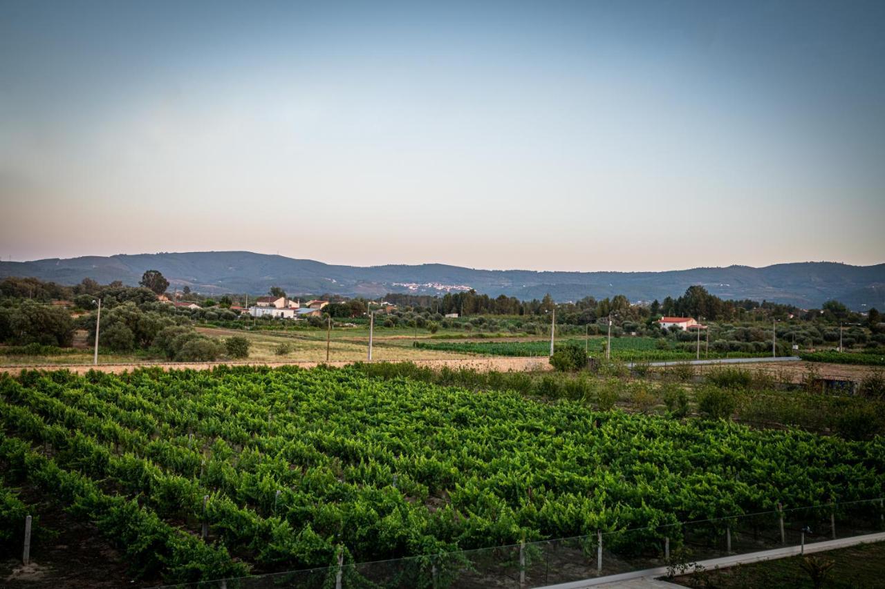 Quinta Das Oliveiras Turismo Rural Fundão Eksteriør bilde