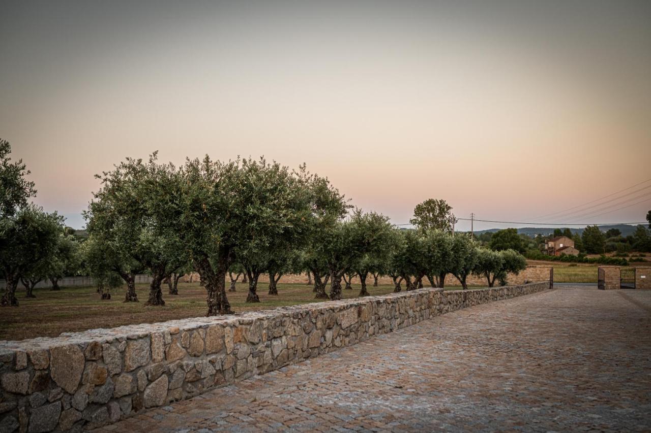 Quinta Das Oliveiras Turismo Rural Fundão Eksteriør bilde
