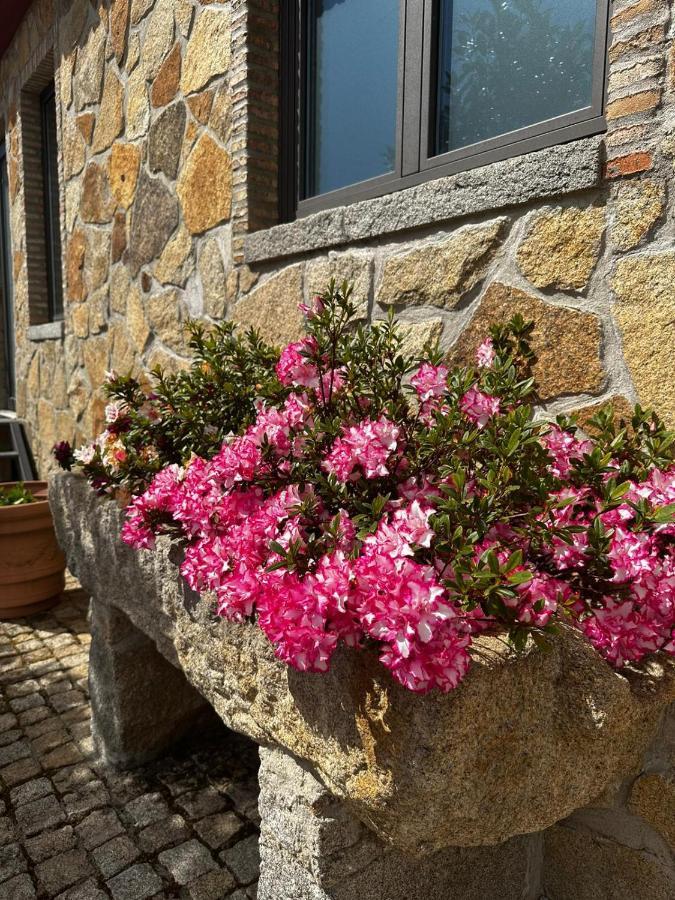 Quinta Das Oliveiras Turismo Rural Fundão Eksteriør bilde